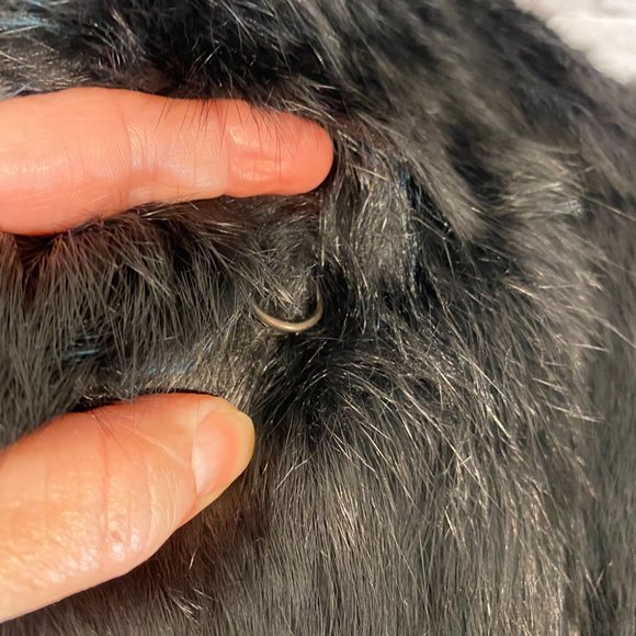 VGUC Vintage Black Dyed Rabbit Fur Jkt-Sz S,Attchd scarf, nice, pretty coat! - Picture 6 of 10